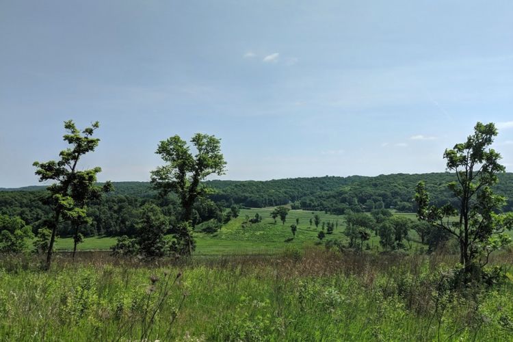 Cross Plains, Wisconsin Homes for Sale & Real Estate